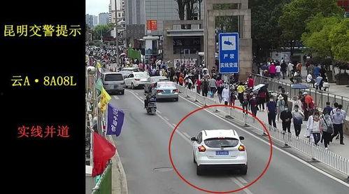昆明交警最新爆料,揭秘交通违法背后的惊人真相