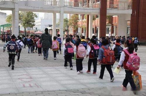 徐州小学爆料案件最新,揭开校园安全隐秘一角